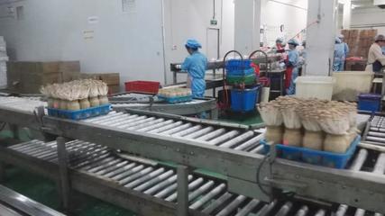 市投促局赴上?？疾烊〉梅e極成果，四項目達成技術咨詢共識